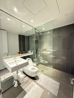 Apartment For Lease - NSW - Chippendale - 2008 - 3 Month Lease - high rise apartment with park views - partially furnished  (Image 2)