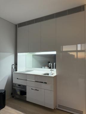 Apartment For Lease - NSW - Chippendale - 2008 - 3 Month Lease - high rise apartment with park views - partially furnished  (Image 2)