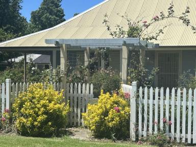 Acreage/Semi-rural For Sale - NSW - Terara - 2540 - Charm close to town  (Image 2)