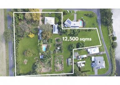 Acreage/Semi-rural For Sale - NSW - Terara - 2540 - Charm close to town (Image 2)
