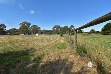 Residential Block For Sale - VIC - Chiltern - 3683 - INVEST OR BUILD  (Image 2)