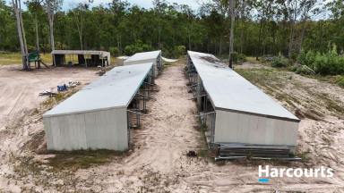 Lifestyle For Sale - QLD - South Isis - 4660 - WELCOME TO THE JUNGLE  (Image 2)
