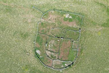 Livestock Auction - QLD - Tangorin - 4821 - Fertile Black Self mulching soils - Currently very well grassed  (Image 2)