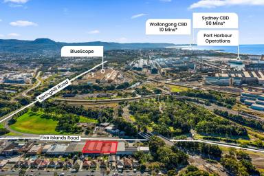 Industrial/Warehouse For Lease - NSW - Cringila - 2502 - INDUSTRIAL WAREHOUSE WITH HIGH EXPOSURE  (Image 2)
