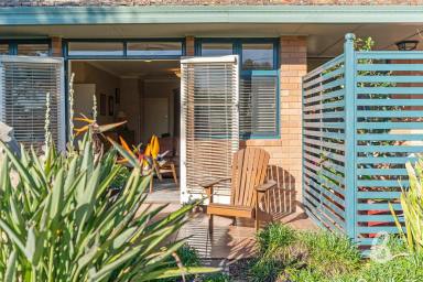 House For Sale - NSW - Singleton - 2330 - Immaculate Four Bedroom Home with Views  (Image 2)