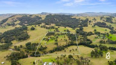 Lifestyle For Sale - NSW - Singleton - 2330 - "GLENELG" | PEACEFUL COUNTRY ESCAPE  (Image 2)