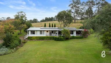 Lifestyle Sold - NSW - Singleton - 2330 - "GLENELG" | PEACEFUL COUNTRY ESCAPE  (Image 2)