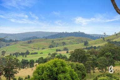 Lifestyle For Sale - NSW - Singleton - 2330 - "GLENELG" | PEACEFUL COUNTRY ESCAPE  (Image 2)