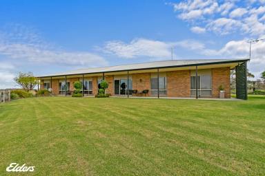 Farmlet For Sale - VIC - Alberton - 3971 - THE COMPLETE RURAL PACKAGE - LIFESTYLE-SHEDDING-ACREAGE & BUSINESS POTENTIAL  (Image 2)