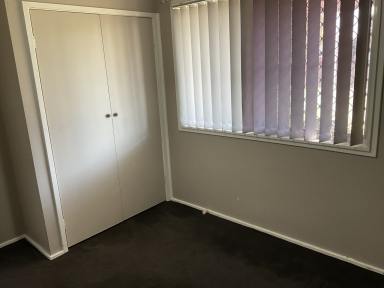 House For Lease - NSW - Tamworth - 2340 - NEAT AND TIDY THREE BEDROOM HOME  (Image 2)