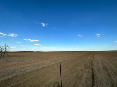 Commercial Farming For Lease - NT - Katherine - 0850 - CROPPING LEASE OPPORTUNITY - CONWAYS STATION  (Image 2)