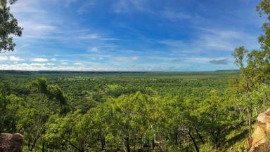 Commercial Farming For Lease - NT - Katherine - 0850 - CROPPING LEASE OPPORTUNITY - CONWAYS STATION  (Image 2)