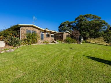 Acreage/Semi-rural Sold - NSW - Bega - 2550 - RURAL GEM 6KMS FROM BEGA TOWN CENTRE  (Image 2)