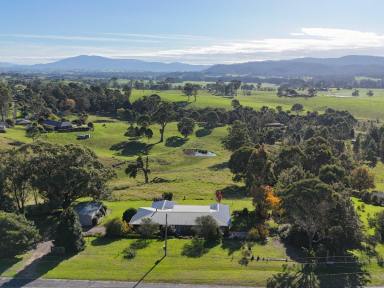 Acreage/Semi-rural Sold - NSW - Bega - 2550 - RURAL GEM 6KMS FROM BEGA TOWN CENTRE  (Image 2)