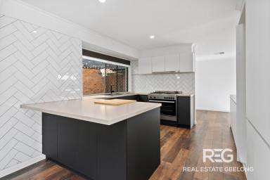 House For Sale - VIC - Grovedale - 3216 - Space, Style & the Good Life on Ainslie  (Image 2)