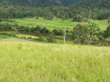 Lifestyle For Sale - NSW - Rocky River - 2372 - THE CULTIVATION BLOCK  (Image 2)