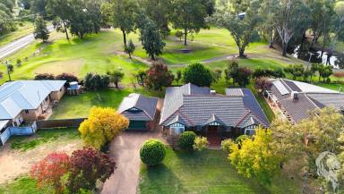 House For Sale - NSW - Narrabri - 2390 - PRESTIGE LIVING ON THE FAIRWAY  (Image 2)