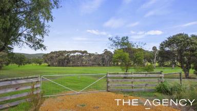 Residential Block For Sale - WA - Cuthbert - 6330 - Prime Land near Albany  (Image 2)