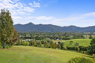 House For Sale - QLD - Mount Samson - 4520 - ELEGANT EXECUTIVE RESIDENCE IN A PEACEFUL HILLTOP SETTING  (Image 2)