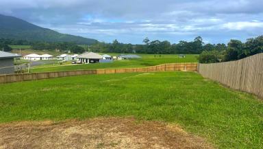 Residential Block For Sale - QLD - Tully - 4854 - Vacant Land in Tully  (Image 2)