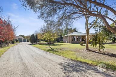 Acreage/Semi-rural For Sale - VIC - Balnarring - 3926 - 10 Idyllic Acres of Rural Charm  (Image 2)