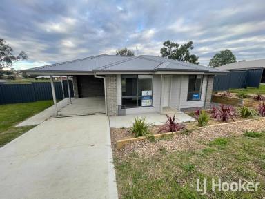Unit For Lease - NSW - Inverell - 2360 - Brand New Unit – Ross Hill  (Image 2)
