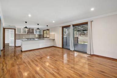 House Auction - NSW - Binalong - 2584 - Breathe Out Here - The Rural Escape You've Been Waiting For  (Image 2)