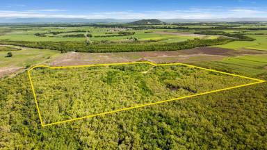 Residential Block For Sale - QLD - Lucinda - 4850 - Expansive 17.66ha Coastal Land Holding  (Image 2)