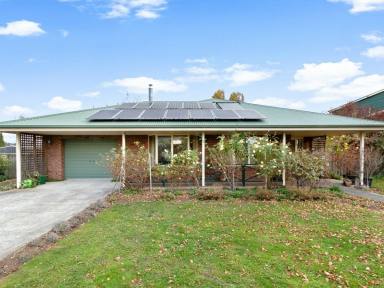 House For Sale - TAS - Sheffield - 7306 - Sheffield Charm Meets Comfort  (Image 2)