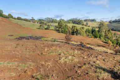 Other (Rural) For Sale - TAS - Natone - 7321 - RURAL LAND WITH STREAM OF SPRING WATER  (Image 2)