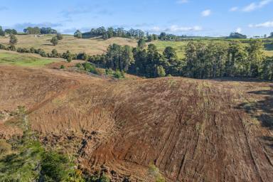 Other (Rural) For Sale - TAS - Natone - 7321 - RURAL LAND WITH STREAM OF SPRING WATER  (Image 2)