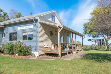 Lifestyle For Sale - WA - Nannup - 6275 - "Mowen Springs"  (Image 2)