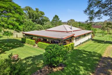 House For Sale - NSW - Kyogle - 2474 - 9 ACRES MINUTES FROM TOWN  (Image 2)