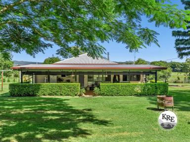 House For Sale - NSW - Kyogle - 2474 - 9 ACRES MINUTES FROM TOWN  (Image 2)