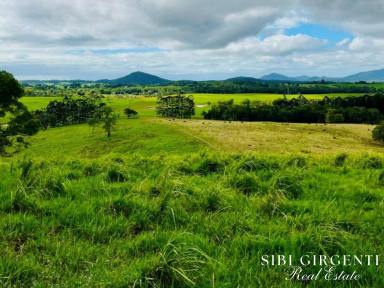 Livestock For Sale - QLD - Mossman - 4873 - LIFESTYLE and RURAL - Privacy excellent views rated one of the best climates in the world  (Image 2)