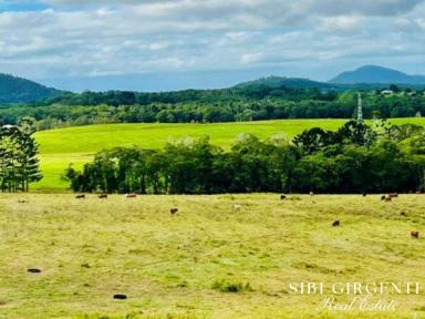 Livestock For Sale - QLD - Mossman - 4873 - LIFESTYLE and RURAL - Privacy excellent views rated one of the best climates in the world  (Image 2)