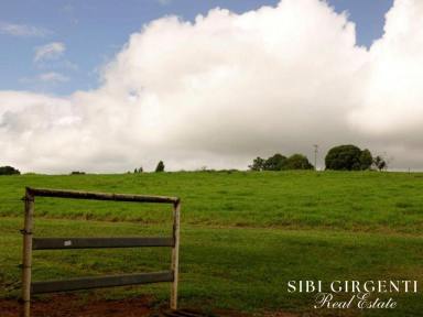 Livestock For Sale - QLD - Mossman - 4873 - LIFESTYLE and RURAL - Privacy excellent views rated one of the best climates in the world  (Image 2)