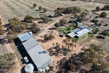 Mixed Farming For Sale - WA - Caljie - 6302 - "Maliky Farm"       112 Caljie Rd, Caljie via York              64.83ha (160.13 acres)  (Image 2)