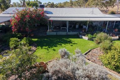 Mixed Farming For Sale - WA - Caljie - 6302 - "Maliky Farm"       112 Caljie Rd, Caljie via York              64.83ha (160.13 acres)  (Image 2)