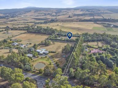 House For Sale - TAS - Relbia - 7258 - Fabulous Lifestyle Property  (Image 2)
