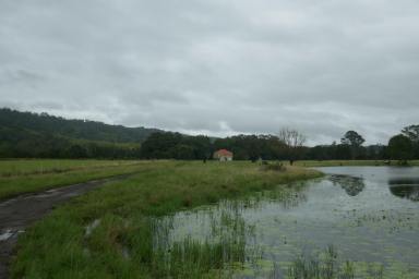 Livestock Sold - NSW - Kilgra - 2474 - RIVERBANK PROPERTY  (Image 2)