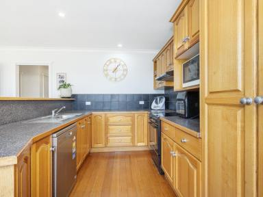 House For Lease - TAS - Devonport - 7310 - Three Bed with Big Shed  (Image 2)