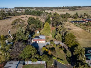House For Sale - TAS - Beauty Point - 7270 - Tree Haven  (Image 2)