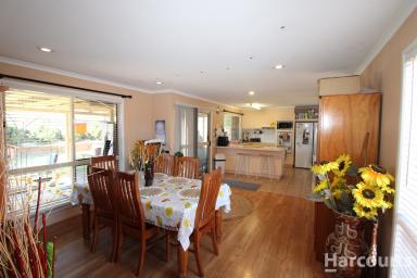 House For Sale - QLD - Avoca - 4670 - Smart Start or Solid Investment in Sought-After Avoca  (Image 2)