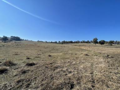 Residential Block For Sale - NSW - Gundagai - 2722 - Escape to the Serenity of Gundagai!  (Image 2)