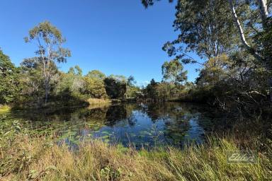 Residential Block For Sale - QLD - Gundiah - 4650 - BLANK CANVAS WITH POWER, WATER & POTENTIAL  (Image 2)