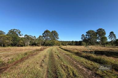 Residential Block For Sale - QLD - Gundiah - 4650 - BLANK CANVAS WITH POWER, WATER & POTENTIAL  (Image 2)
