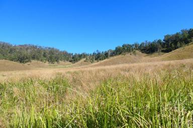 Lifestyle For Sale - NSW - Rocky River - 2372 - 1ST TO VIEW THIS ONE WILL BUY  (Image 2)