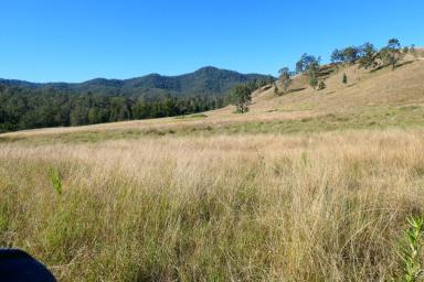 Lifestyle For Sale - NSW - Rocky River - 2372 - 1ST TO VIEW THIS ONE WILL BUY  (Image 2)