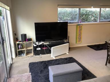 Unit For Sale - ACT - Lyneham - 2602 - Spacious, Light-Filled Ground Floor Unit with Garden Courtyard  (Image 2)